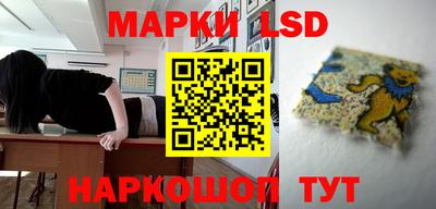 крисы Будённовск