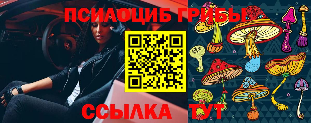 Галлюциногенные грибы Cubensis Гуково